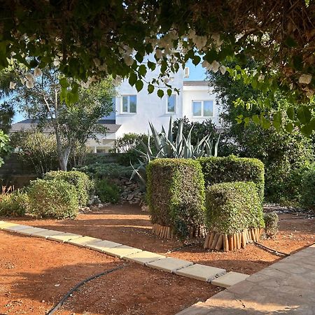 Konnos Villa プロタラス エクステリア 写真