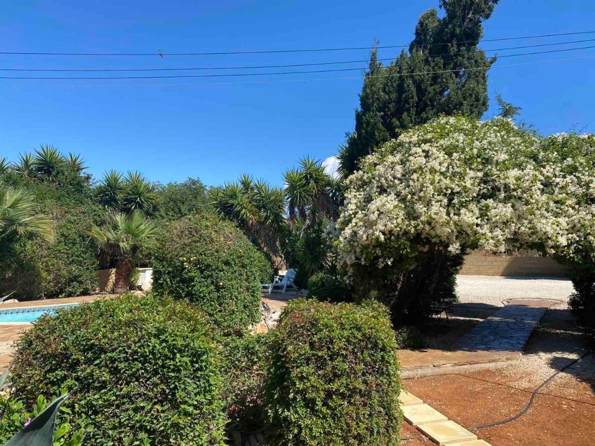 Konnos Villa プロタラス エクステリア 写真