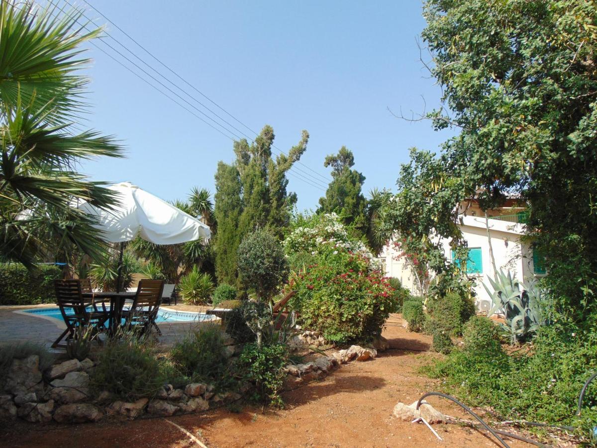 Konnos Villa プロタラス エクステリア 写真